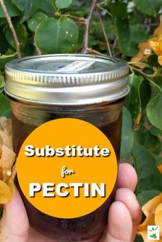 a person holding a jar of pickling in front of yellow flowers with the words, substitue for pectin