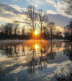 the sun is setting over a lake with trees in the foreground and clouds in the background