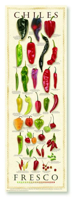 a poster with different types of peppers on the front and back of it, including chilis