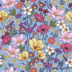 a blue background with colorful flowers on it