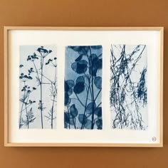 three framed photographs with plants in them