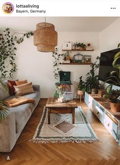 a living room filled with furniture and lots of plants on top of it's shelves