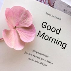 a pink flower sitting on top of a white paper with the words good morning written below it