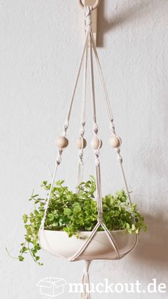 a hanging planter filled with green plants