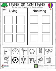 living or non - living worksheet with pictures to help students learn how to read