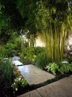 an outdoor garden with lots of plants and flowers in it, including bamboo trees on the side