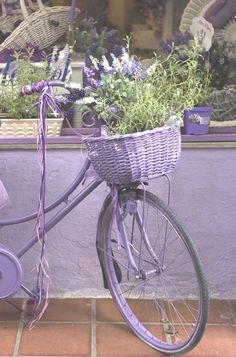 a purple bicycle with lavender flowers in the basket parked next to a store front window