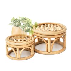 two wooden stools with plants in them