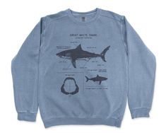 Great White Anatomy Sweatshirt || Shark Sweatshirt || Nautical Art || Science Illustration || Great Cheap Crew Neck T-shirt With Shark Design, Marine Biology Shirts, Shark Sweatshirt, Shark Gifts, Science Illustration, Dr Shoes, Art Science, Nautical Art, White Sharks