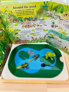 an open children's book about pond life with toys in the water and frog figurines