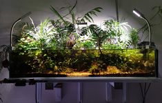 an aquarium filled with plants and water in front of a wall mounted light on a white wall