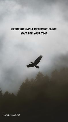 an eagle flying in the sky with a quote above it that reads everyone has a different clock wait for your time