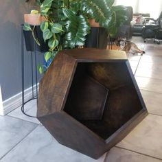 a wooden box sitting on the floor next to a potted plant