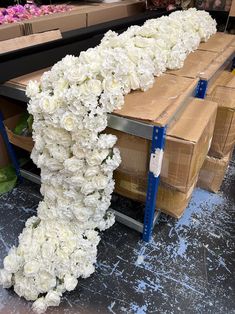 white flowers are lined up on shelves in a flower shop, with boxes behind them