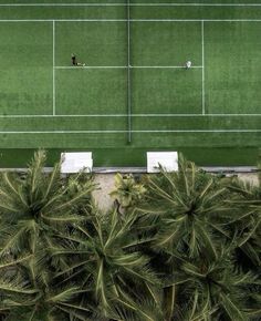 two tennis courts surrounded by palm trees and people playing on the court from an aerial view