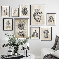 a living room filled with lots of pictures on the wall above a couch and coffee table