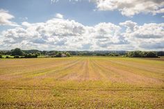 an empty field with grass and trees in the background