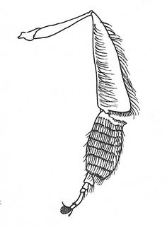 an ink drawing of a woman's head with her arms stretched out to the side