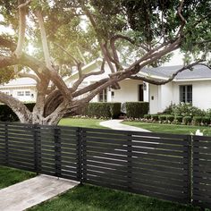 a black fence in front of a white house with trees and bushes on the lawn