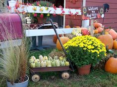 pumpkins, gourds and squash are on display in front of a house