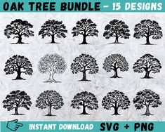 the oak tree bundle is shown in black and white, with hand drawn trees on it