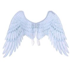 an angel wing is shown on a white background