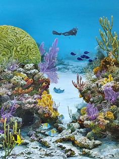 an underwater scene with corals, fish and other marine life on the bottom water