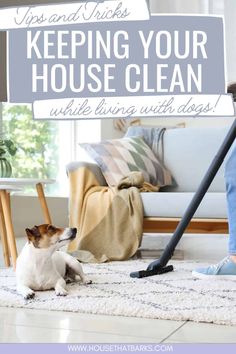 a dog sitting on the floor next to a sign that says keep your house clean