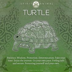 a green poster with an image of a turtle on it's back and the words, spirit animal turtle