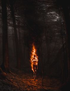 a person standing in the middle of a forest on fire