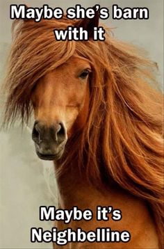 a brown horse with long hair on its head