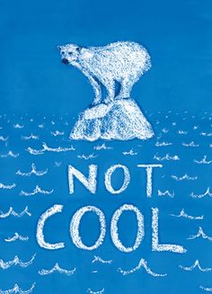 a polar bear sitting on top of an iceberg with the words not cool written below it