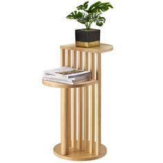 a wooden shelf with a potted plant on top and magazines in front of it