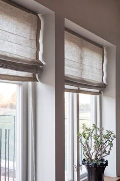 a potted plant sitting on top of a window sill next to two windows