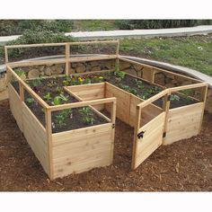 several wooden planters with plants growing in them