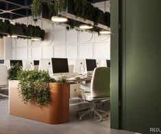 an office with plants hanging from the ceiling and computer desks on either side of it