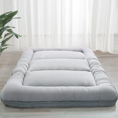 a large gray mattress sitting on top of a wooden floor next to a potted plant