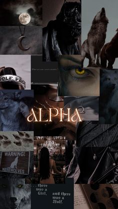 Werewolves 
Phone wallpaper
Alpha Alpha Wolf And His Mate, Vampires And Werewolves Aesthetic, Female Wolf Aesthetic, Werewolf Alpha Aesthetic, Books About Werewolves, Girl Werewolf Aesthetic, Alpha Werewolf Aesthetic, Dark Werewolf Aesthetic, Werewolf Aesthetic Male Alpha