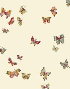 many colorful butterflies flying in the air