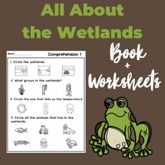 an all about the wetlands book and worksheet