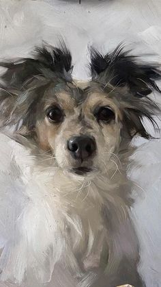 a painting of a dog with long hair on it's head, looking at the camera