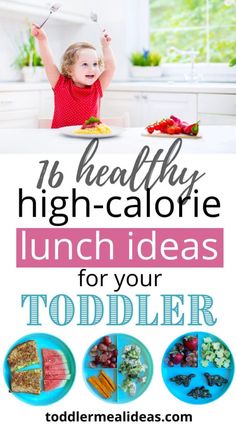 High Calorie Lunches, Lunch Ideas Aesthetic, Blw Lunch, High Calorie Breakfast, Easy Toddler Lunches, High Calorie Diet, High Calorie Snacks