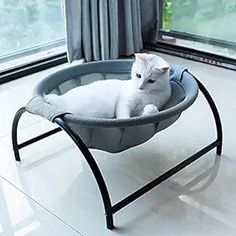 a white cat is sitting in a grey pet bed on a stand near a window