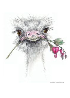 an ostrich with flowers in its beak