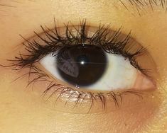 an eye with long black lashes and no makeup