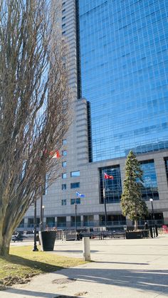 a tall building next to a tree with no leaves