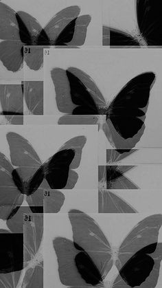 six different images of black and white butterflies