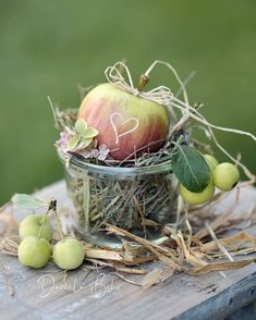 an apple sitting in a jar with some green apples