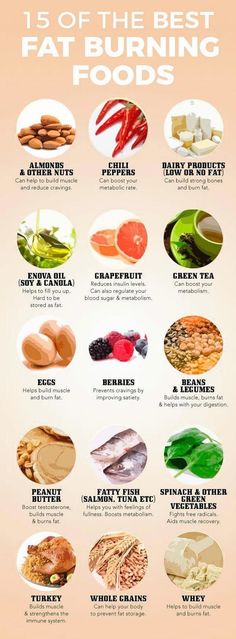 15 of Fat burning foods Best Fat Burning Foods, Fatty Fish, Think Food, Help Losing Weight, Fat Loss Diet, Fat Burning Foods, Diet Keto, Detox Diet, Fat Fast