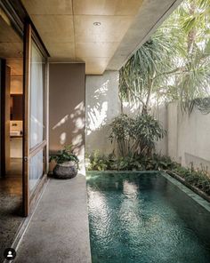 an indoor swimming pool in the middle of a room with large windows and plants on either side